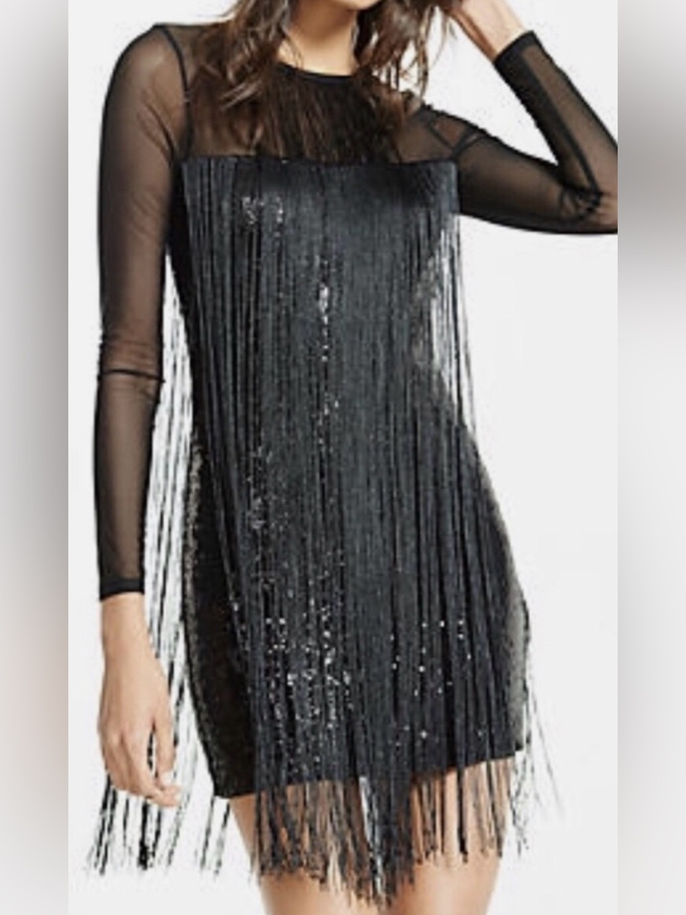 Express | Sheer Fringe Sequin Long Sleeve Dress